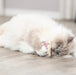 Trixie Beer Stof Met Catnip 12 Cm