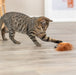 Trixie Eekhoorn Pluche Met Veerstaart Met Catnip 24 Cm