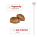 Royal Canin Maxi Adult 15 Kg