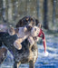 Cupid & Comet Kerstbeer Brad 29X16 Cm