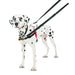 Halti Harness Front Control Zwart Medium
