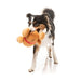 Fuzzyard Lets Get Basted Roast Kalkoen 30X21X14 Cm