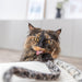 Trixie Kattenhengel Staart Panterprint Pluche Met Kattenkruid / Catnip 51 Cm