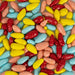 Back Zoo Nature Parrot Sunflower Seed Treats 100 Gr