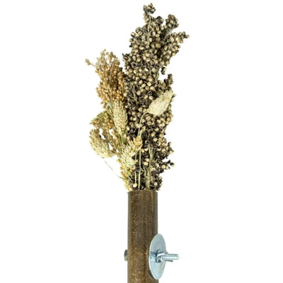 Back Zoo Nature Grass Keeper 20X3 Cm