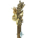 Back Zoo Nature Grass Keeper 20X3 Cm