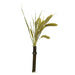 Back Zoo Nature Millet Setaria 30 Gr