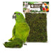 Back Zoo Nature Forest Moss 70 Gr