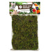 Back Zoo Nature Forest Moss 70 Gr