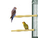 Back Zoo Nature Wood Perch 25 Cm 2 St