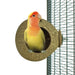 Back Zoo Nature Coconut House Ca. 9,5 Cm