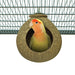 Back Zoo Nature Coconut House Ca. 9,5 Cm