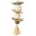 Back Zoo Nature Palm Star Balls 25X8X8 Cm