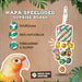 Back Zoo Nature Surprise Boxes Ca. 30X8X8 Cm