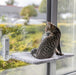 Trixie Hangmat Voor Aan Raam Opvouwbaar Pluche / Mesh Wit / Grijs 58X34 Cm