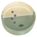 Trixie Voerbak / Drinkbak Met Pootprint Keramiek Groen / Beige 12X12X3,5 Cm