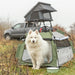 Trixie Hondentent Pop-Up Olijfgroen / Beige 100X100X80 Cm