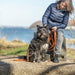 Trixie Sleeplijn Met Rubber Bekleed Zonder Handlus Oranje