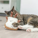 Trixie Toast Xxl Pluche Met Amerikaanse Catnip 18 Cm