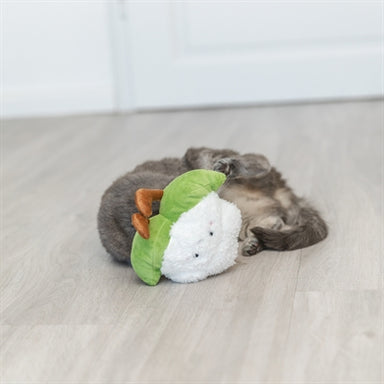 Trixie Bloemkool Xxl Pluche Met Amerikaanse Catnip 18 Cm