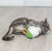 Trixie Bloemkool Xxl Pluche Met Amerikaanse Catnip 18 Cm