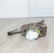 Trixie Bloemkool Xxl Pluche Met Amerikaanse Catnip 18 Cm
