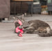 Trixie Kattenhengel Telescopisch Grote Katten Met Flamingo Roze 106 Cm