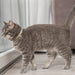 Trixie Kattenhalsband Katoenlook Assorti 20-30X1 Cm
