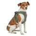 Trixie Hondentuig Urbanvest Mesh Olijfgroen 31-34X1,5 Cm - Xxs