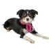 Trixie Xmas Sjaal Fluweellook Bordeaux 50 Cm
