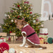 Trixie Xmas Hondentrui Saint Nick Teddy Pluche Bordeaux 35 Cm