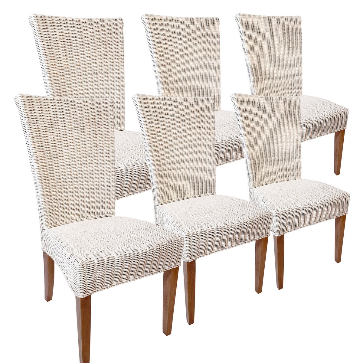 Eetkamerstoelen 6 stuks rattan stoelen eettafel stoelen wintertuin cardine wit