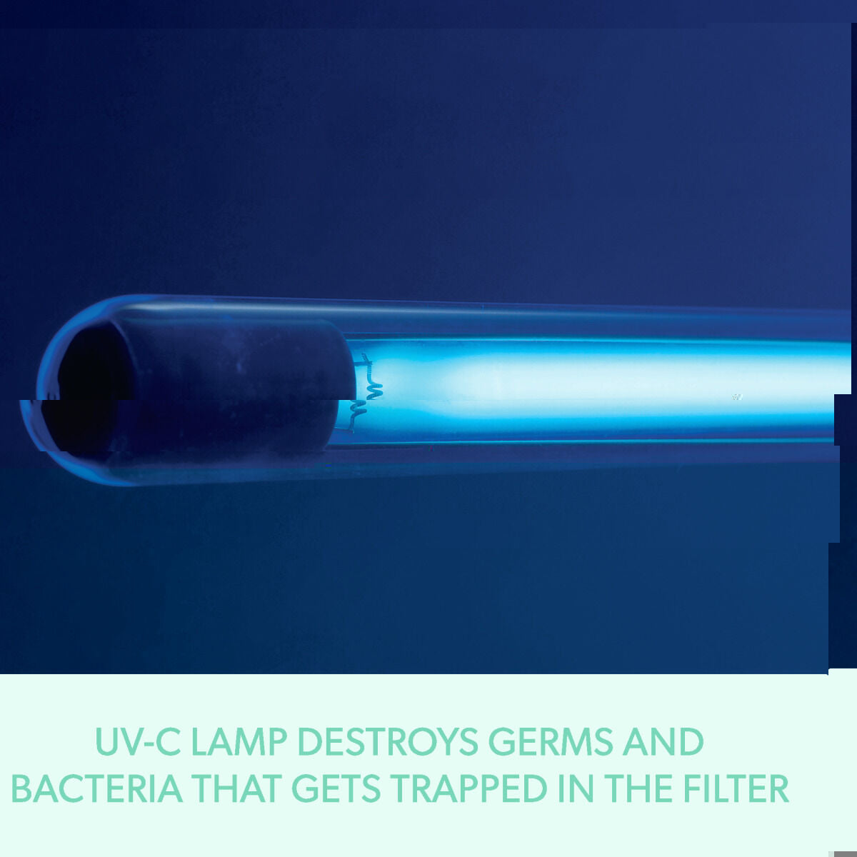 V4HBE9E1720619900AC97F12324EFFB1C1AR5565179P9