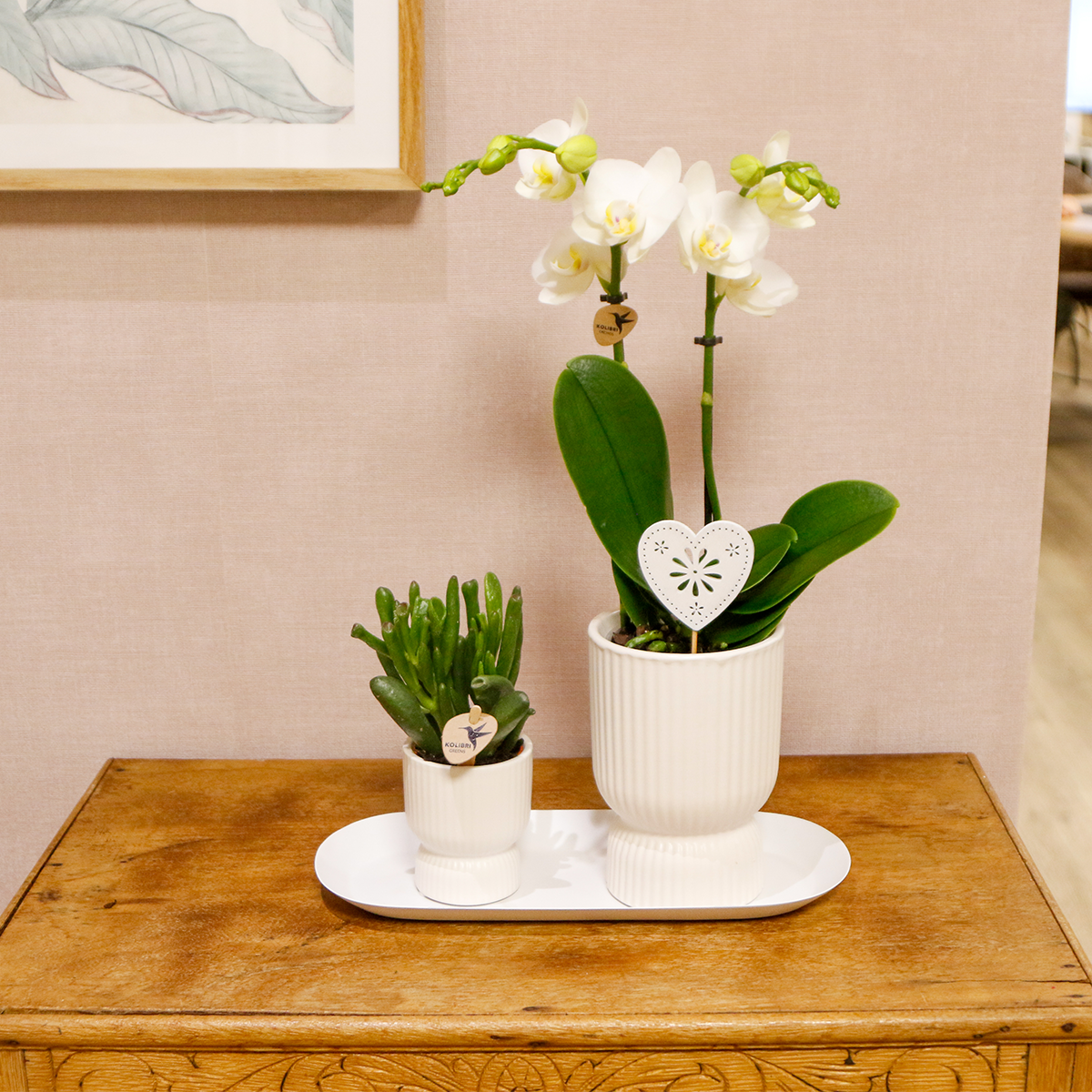 Kolibri Orchids | Plantenset Love Wit Small| Groene Planten Met Witte Phalaenopsis Orchidee In Witte Sierpotten Op Wit Dienblad