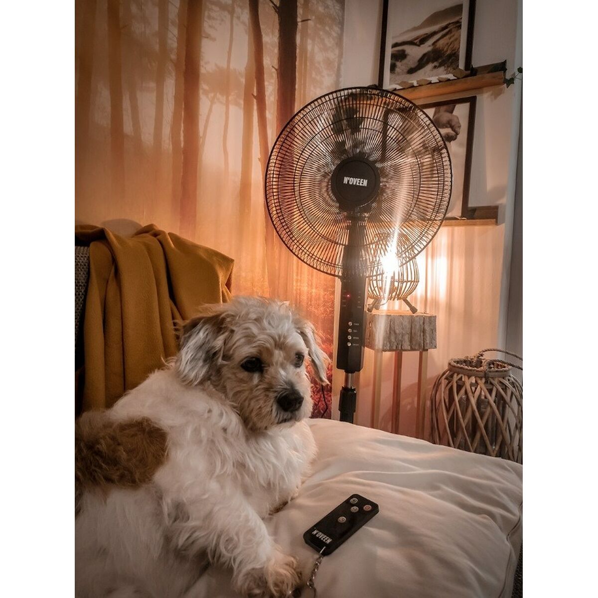 V6H6CDA36C59C3FB156E01A99A357549A25R6338650P5