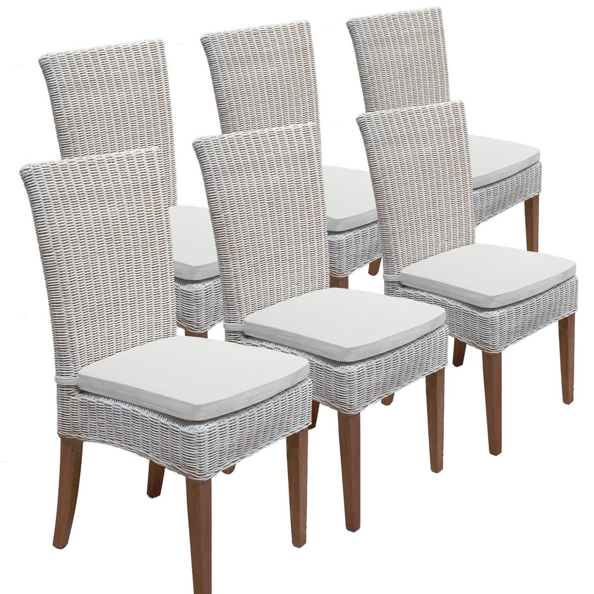 Eetkamerstoelen 6 stuks rattan stoelen eettafel stoelen wintertuin cardine wit