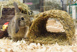 Happy Pet Grassy Tunnel 22X20X15 Cm