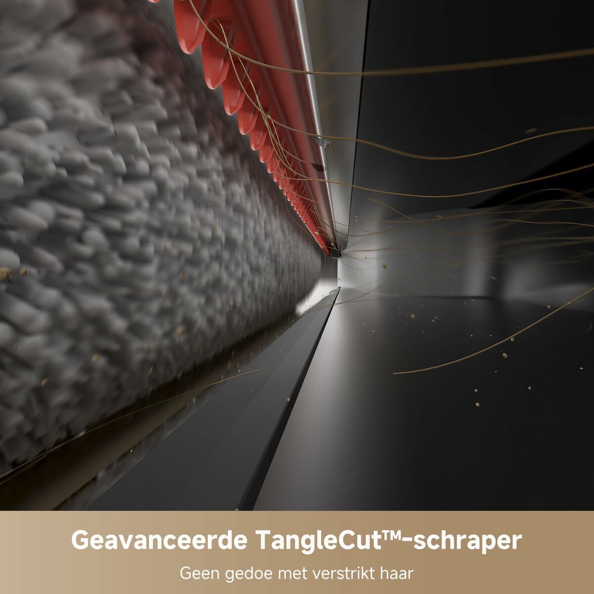 V6HC9BD26A9F2BEDF92396B1F2E36E8CD55R7306738P8