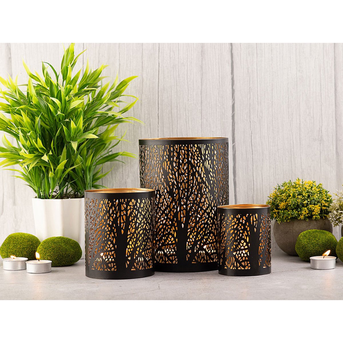 Windlich 3 Set MasterBox 12x 3 -Deel kaarsen Stand Forest Tea Light Holder rond zwart goud