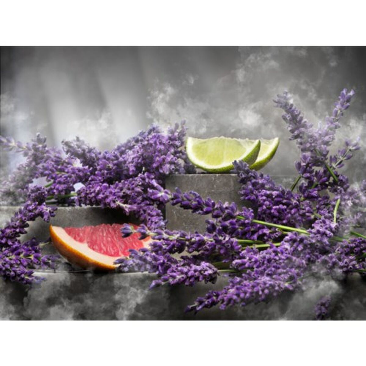 V6H069AB44D8A2831E64CB8A867ADBE6F9AR6411773P2