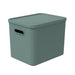 Rotho Albula Multibox 29.5X29X37 Cm 27L Mistletoe Groen