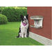 Bama Pet Hondenvoederbak 48X27X42 Cm Taupe