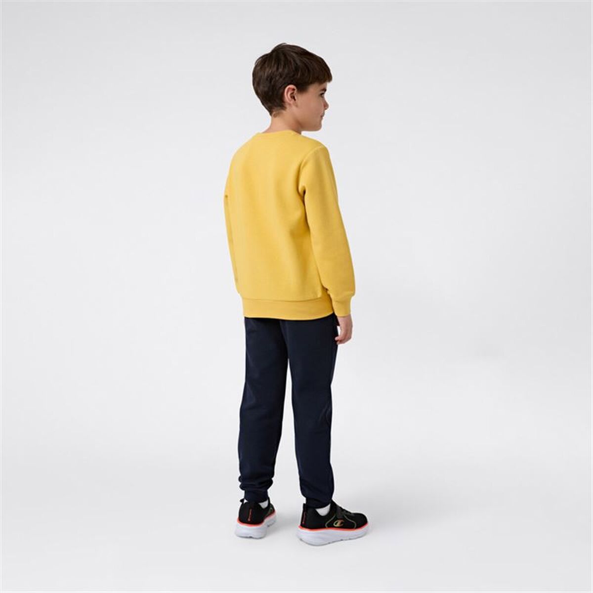 V2HCB2A46B898F59B0924677C3AA239343CR7642432P3