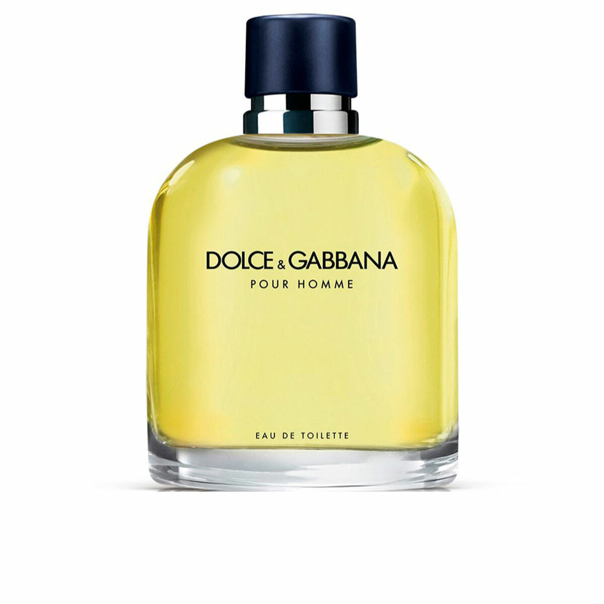 Herenparfum Dolce & Gabbana Pour Homme EDT 125 ml Pour Homme
