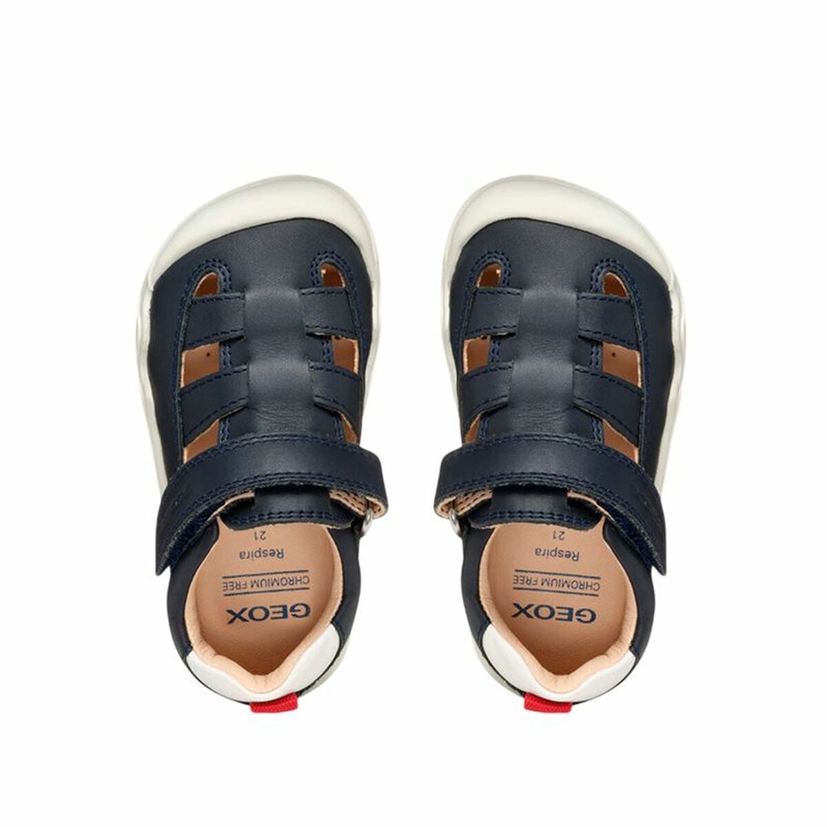 V5HAE9E69DAEAACCB20665698542BBE8F55R6962541P4