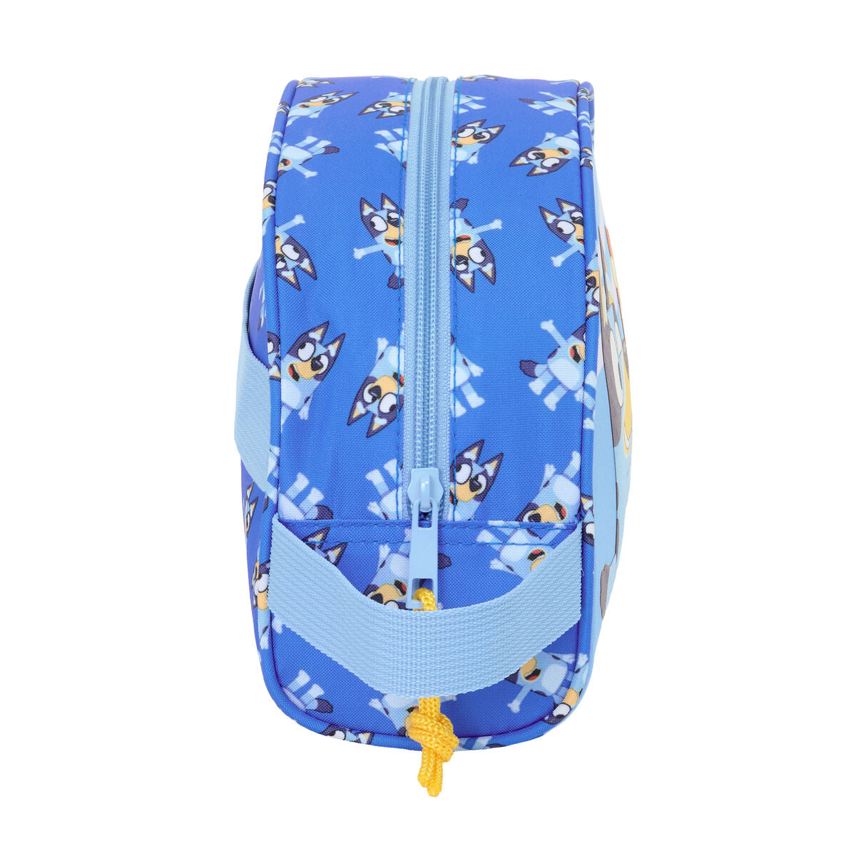 V5H1509CAA7EC616B34317A4207CE38E000R5825941P2