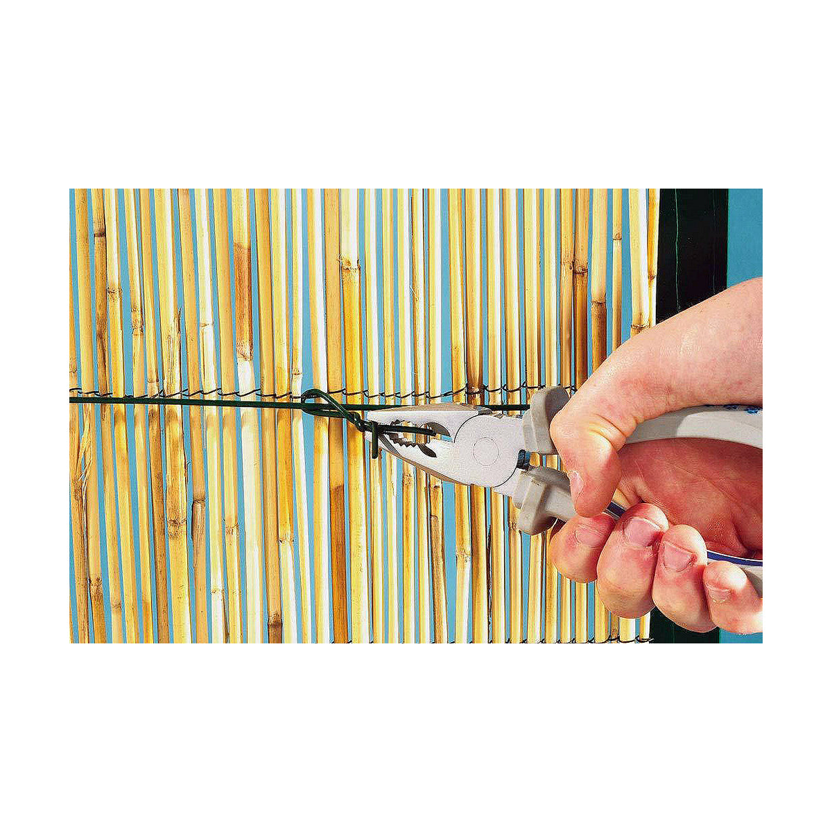 V12H81C7EEBE157C97B1B2A1E21B25260AEDR5373089P4