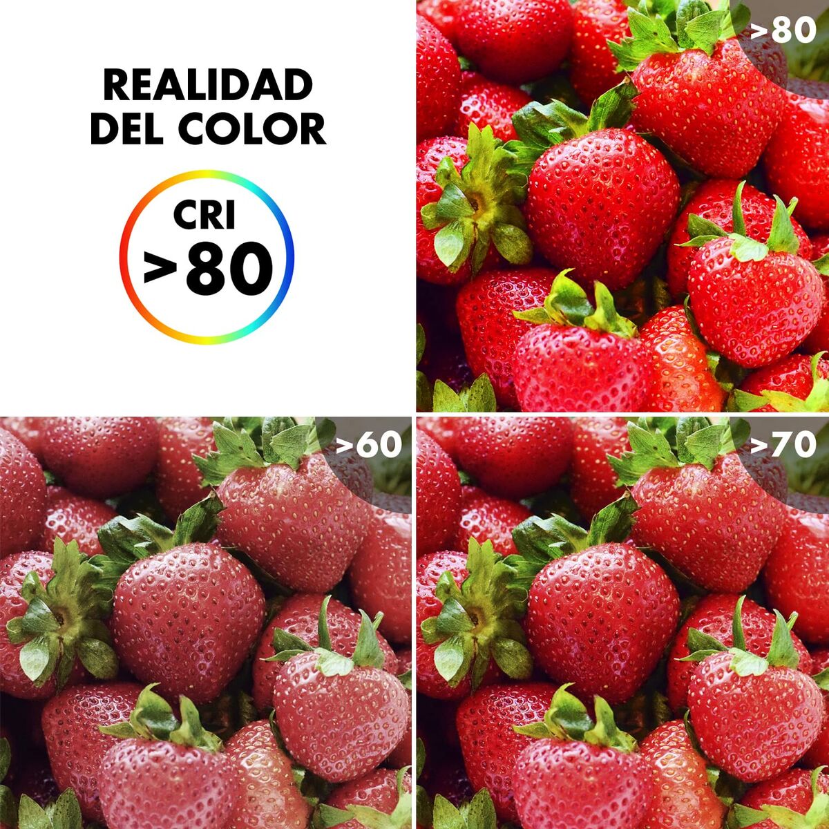 V6H86BE603B5E0BCDA0BE6602A79EB19FC2R4783928P4