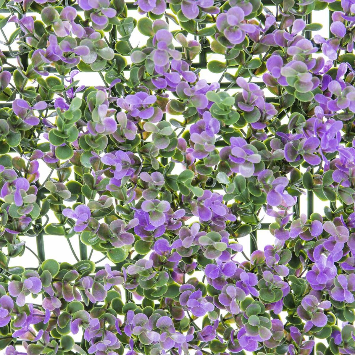 Hek   Lavendel 50 x 50 x 2 cm
