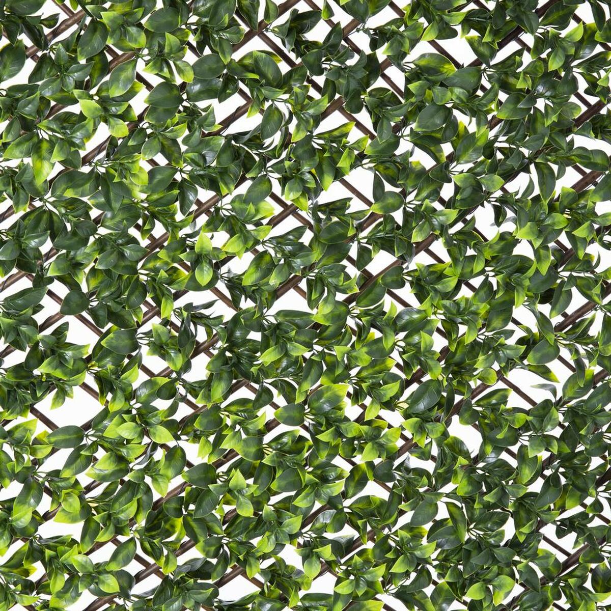 Rooster Natural Hedera vlechtwerk Bamboe 2 x 200 x 100 cm
